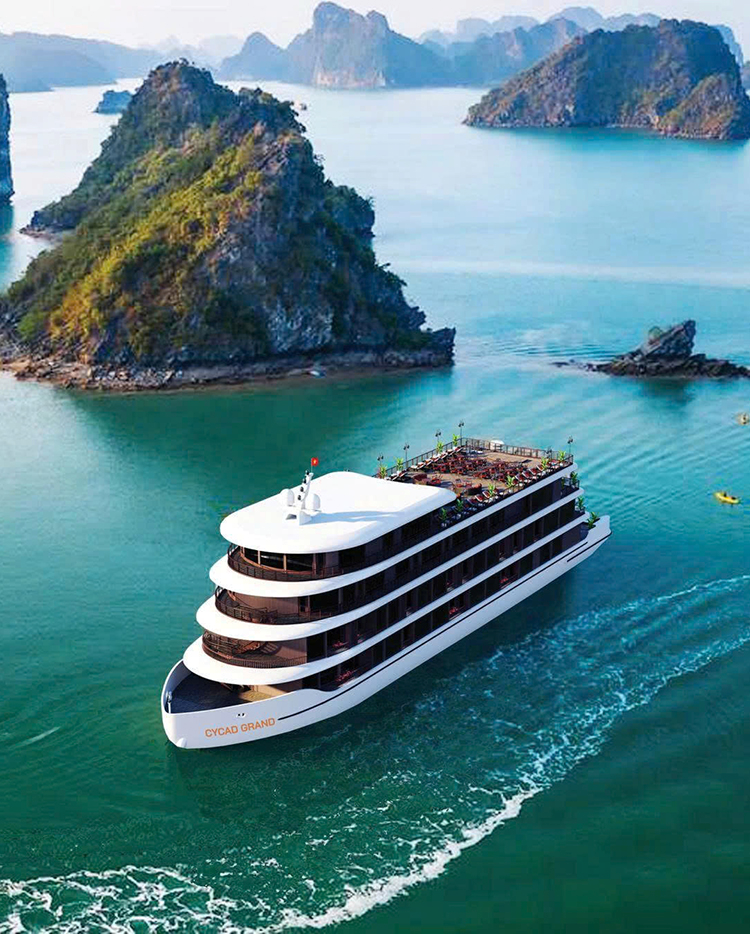 Welcome to Cycad Grand Cruise